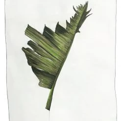 Stephen Farnan Pottery All Pottery Banana Plant - Botanical