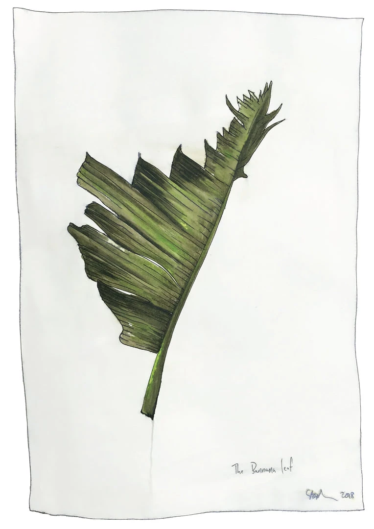 Stephen Farnan Pottery All Pottery Banana Plant - Botanical