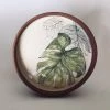 Stephen Farnan Pottery Monstera Plant - Botanical All Pottery