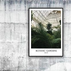 DC Photography BOTANIC GARDENS BELFAST - Contemporary Photography Print From Northern Ireland