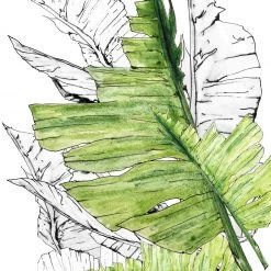 Stephen Farnan Pottery All Pottery Banana Plant - Botanical