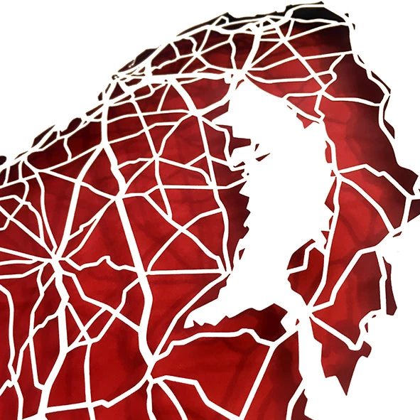 BB Papercuts County DOWN - Papercut Map - Designed Imagined Made In Ireland Places