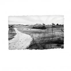 Stephen Farnan Studio THE CURRAGH - Irish Horse Racecourse County Kildare By Stephen Farnan Places