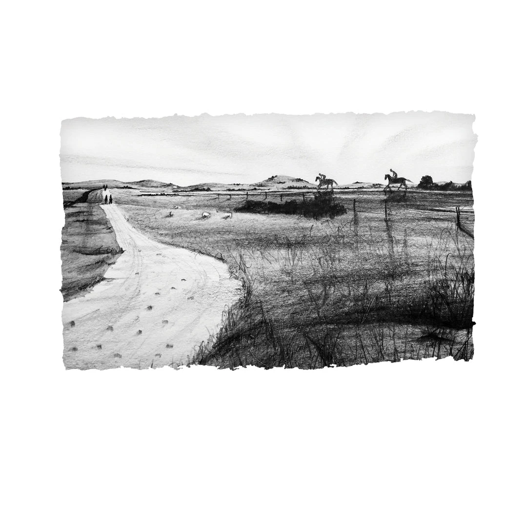 Stephen Farnan Studio THE CURRAGH - Irish Horse Racecourse County Kildare By Stephen Farnan Places