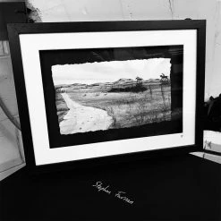 Stephen Farnan Studio THE CURRAGH - Irish Horse Racecourse County Kildare By Stephen Farnan Places