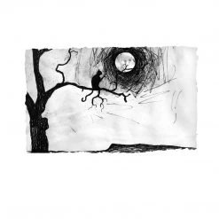 Stephen Farnan Studio The Cat And The Moon - By Stephen Farnan