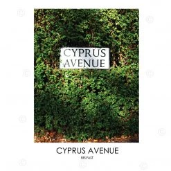DC Photography CYPRUS AVENUE BELFAST - Contemporary Photography Print From Northern Ireland
