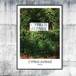 DC Photography CYPRUS AVENUE BELFAST - Contemporary Photography Print From Northern Ireland