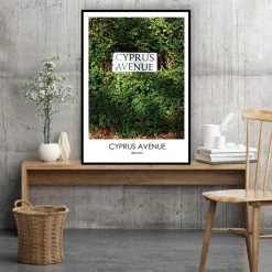 DC Photography CYPRUS AVENUE BELFAST - Contemporary Photography Print From Northern Ireland