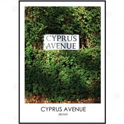 DC Photography CYPRUS AVENUE BELFAST - Contemporary Photography Print From Northern Ireland