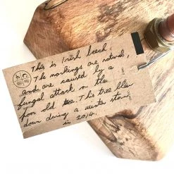 Copperfish Home Accessories Forager Table Lamp - Spalted Irish Beech - Felled 2014