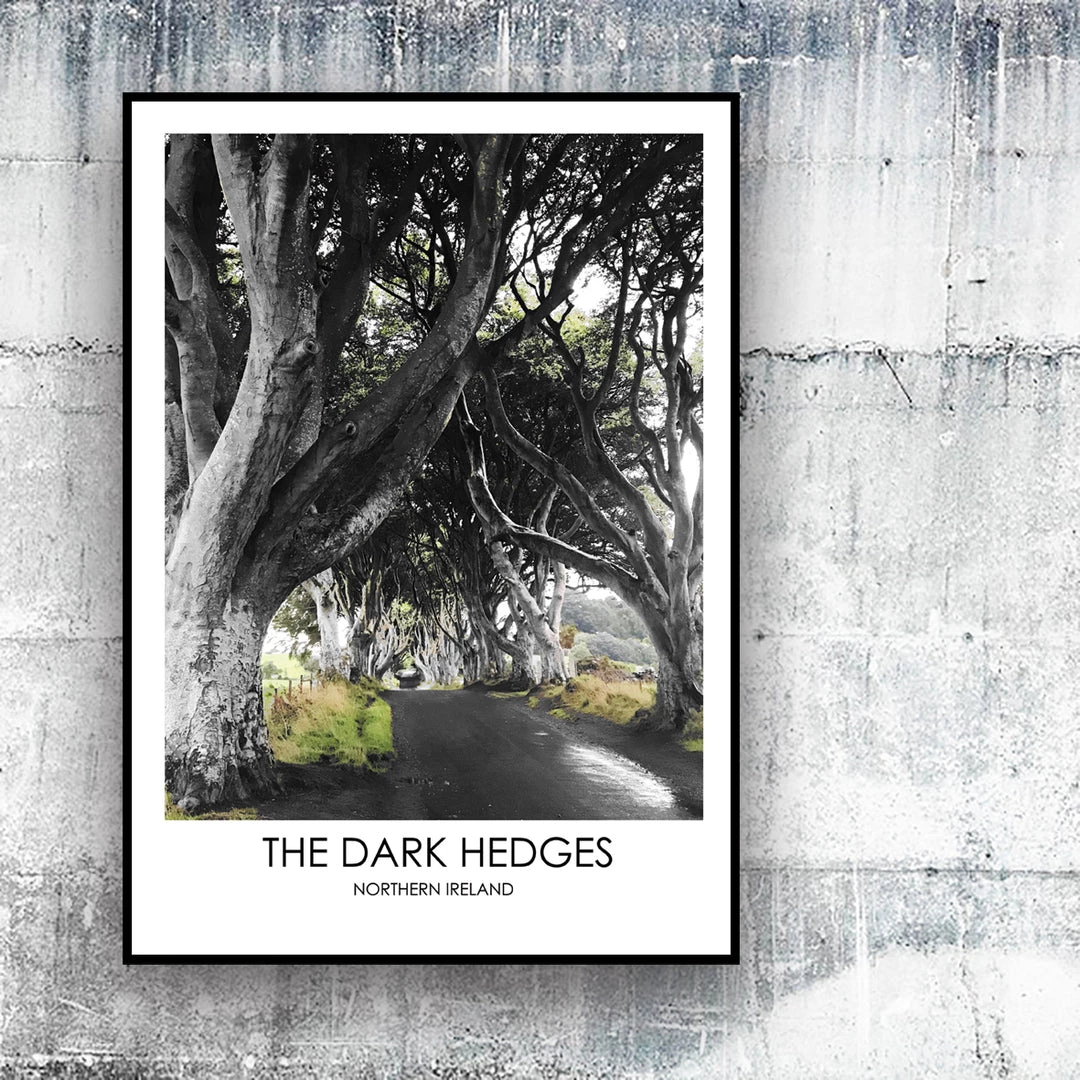 DC Photography THE DARK HEDGES NORTHERN IRELAND - Contemporary Photography Print From Northern Ireland
