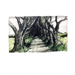 Stephen Farnan Studio Places THE DARK HEDGES - Road To Kings Landing County Antrim By Stephen Farnan