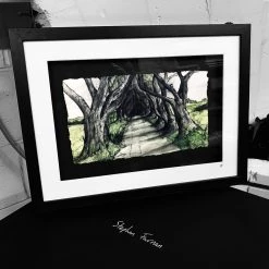 Stephen Farnan Studio Places THE DARK HEDGES - Road To Kings Landing County Antrim By Stephen Farnan