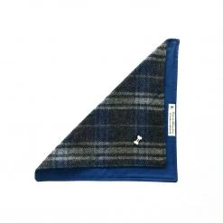 Dont Forget The Dog Pets BLUE CHECKERED Dog Bandana - Made In Ireland