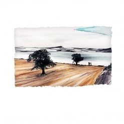 Stephen Farnan Studio Places THE FAIRY TREE - Ireland Irish Tree By Stephen Farnan