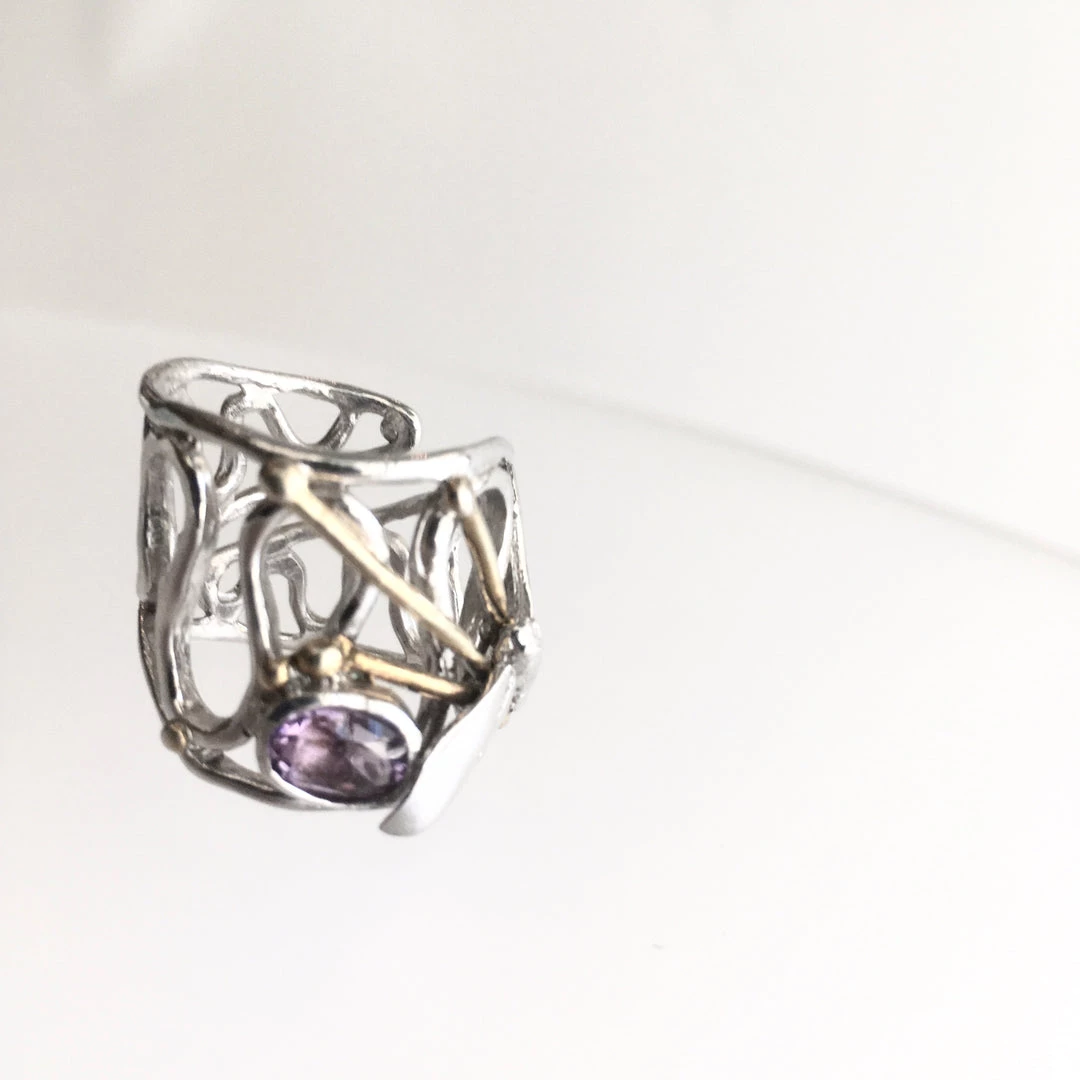 Gallardo & Blaine Dragonfly With Amethyst Ring Solid Silver With Gold Plate Rings