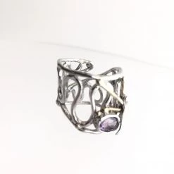 Gallardo & Blaine Dragonfly With Amethyst Ring Solid Silver With Gold Plate Rings