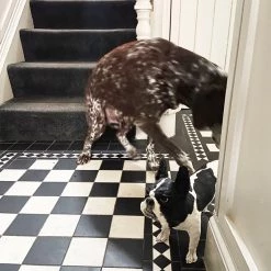 Ostinelli & Priest'Frenchie' - Handmade Ceramic Sculpture All Pottery