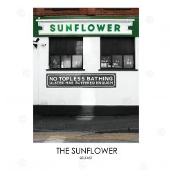 DC Photography THE SUNFLOWER BELFAST - Contemporary Photography Print From Northern Ireland