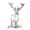 White Chalk Studio STAG IN THE GRASS - Stunning Metallic Art Contemporary