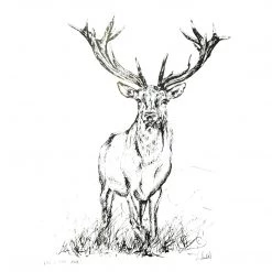 White Chalk Studio STAG IN THE GRASS - Stunning Metallic Art Contemporary