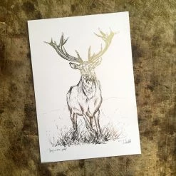 White Chalk Studio STAG IN THE GRASS - Stunning Metallic Art Contemporary